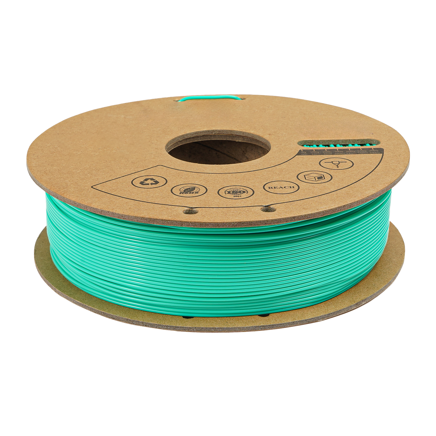 PLA Mint Green, 1000g, 1.75 mm